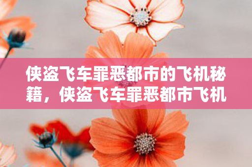 侠盗飞车罪恶都市的飞机秘籍，侠盗飞车罪恶都市飞机秘籍大全