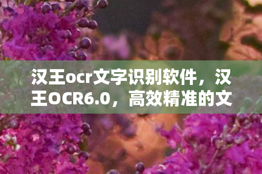 汉王ocr文字识别软件，汉王OCR6.0，高效精准的文字识别技术