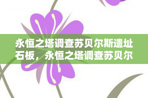 永恒之塔调查苏贝尔斯遗址石板，永恒之塔调查苏贝尔斯遗址，探索古老遗迹的奥秘