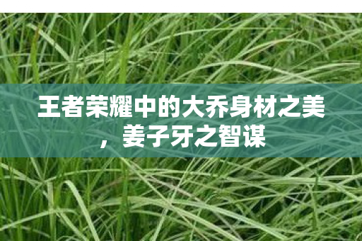 王者荣耀中的大乔身材之美，姜子牙之智谋