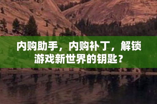 内购助手，内购补丁，解锁游戏新世界的钥匙？