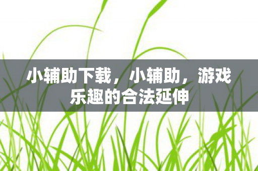 小辅助下载，小辅助，游戏乐趣的合法延伸