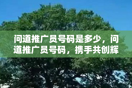 问道推广员号码是多少，问道推广员号码，携手共创辉煌，共享游戏乐趣
