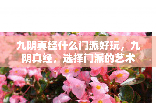 九阴真经什么门派好玩，九阴真经，选择门派的艺术
