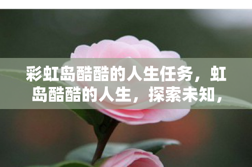 彩虹岛酷酷的人生任务，虹岛酷酷的人生，探索未知，挑战自我