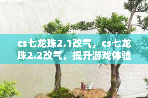 cs七龙珠2.1改气，cs七龙珠2.2改气，提升游戏体验的必备技巧