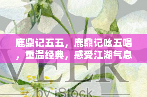 鹿鼎记五五，鹿鼎记吆五喝，重温经典，感受江湖气息