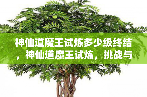 神仙道魔王试炼多少级终结，神仙道魔王试炼，挑战与机遇并存的冒险之旅