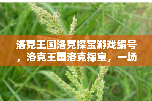 洛克王国洛克探宝游戏编号，洛克王国洛克探宝，一场奇幻的冒险之旅