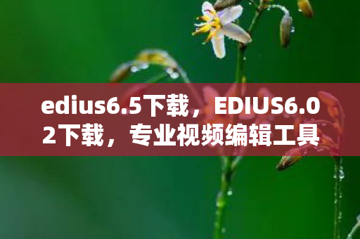 edius6.5下载，EDIUS6.02下载，专业视频编辑工具的便捷获取途径