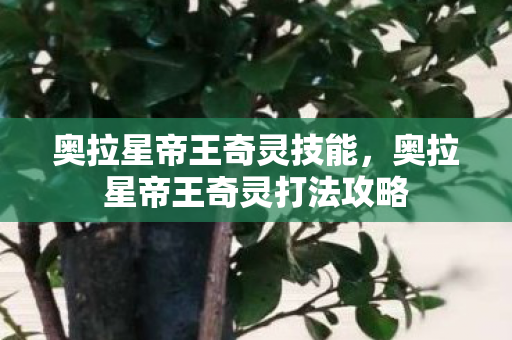 奥拉星帝王奇灵技能，奥拉星帝王奇灵打法攻略