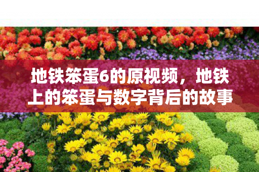 地铁笨蛋6的原视频，地铁上的笨蛋与数字背后的故事