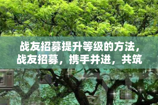 战友招募提升等级的方法，战友招募，携手并进，共筑荣耀