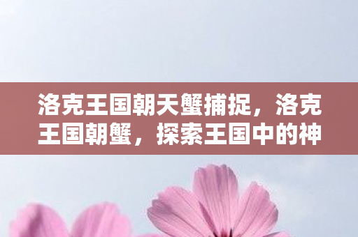 洛克王国朝天蟹捕捉，洛克王国朝蟹，探索王国中的神秘生物