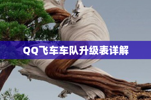QQ飞车车队升级表详解