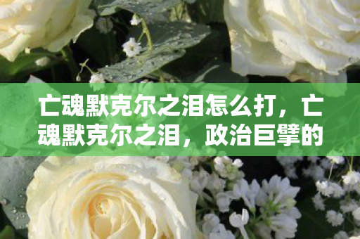 亡魂默克尔之泪怎么打，亡魂默克尔之泪，政治巨擘的遗憾与未竟之业