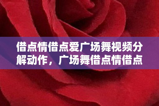 借点情借点爱广场舞视频分解动作，广场舞借点情借点爱动动广场舞，舞动生活的快乐旋律