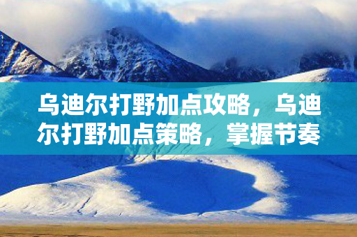 乌迪尔打野加点攻略，乌迪尔打野加点策略，掌握节奏，掌控野区