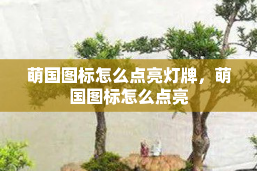 萌国图标怎么点亮灯牌，萌国图标怎么点亮