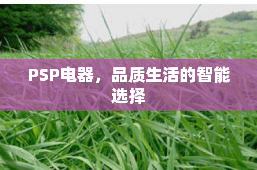PSP电器，品质生活的智能选择