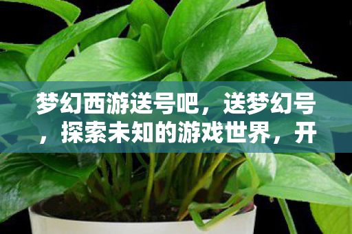 梦幻西游送号吧，送梦幻号，探索未知的游戏世界，开启梦幻之旅