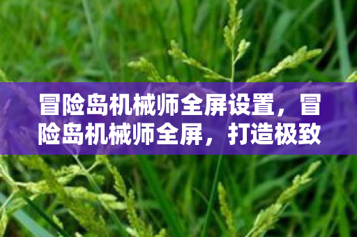 冒险岛机械师全屏设置，冒险岛机械师全屏，打造极致战斗体验
