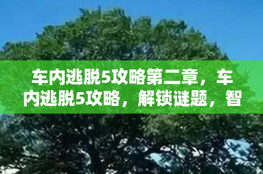 车内逃脱5攻略第二章，车内逃脱5攻略，解锁谜题，智取自由