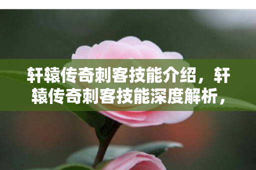 轩辕传奇刺客技能介绍，轩辕传奇刺客技能深度解析，潜行与致命的艺术