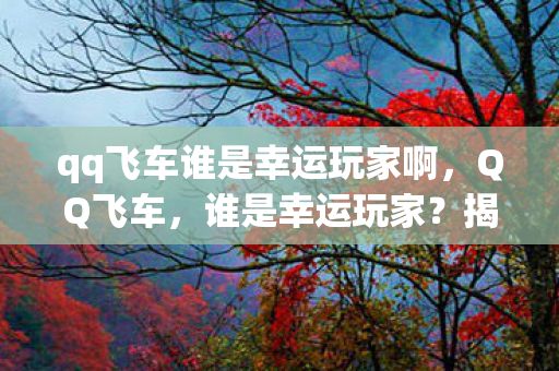 qq飞车谁是幸运玩家啊，QQ飞车，谁是幸运玩家？揭秘游戏中的隐藏福利与惊喜