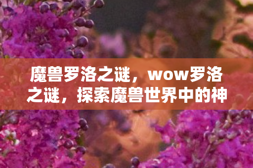 魔兽罗洛之谜，wow罗洛之谜，探索魔兽世界中的神秘之地