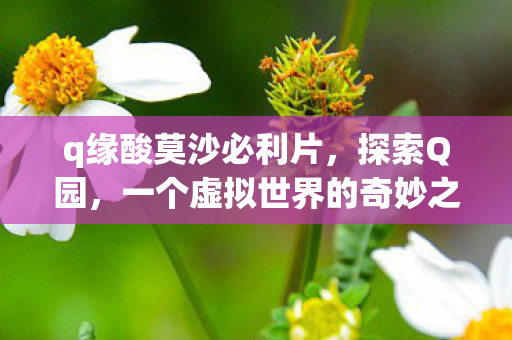 q缘酸莫沙必利片，探索Q园，一个虚拟世界的奇妙之旅