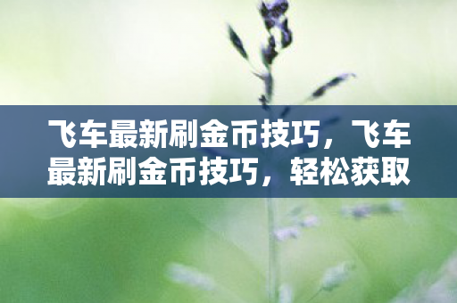 飞车最新刷金币技巧，飞车最新刷金币技巧，轻松获取无限金币，助你驰骋飞车世界！