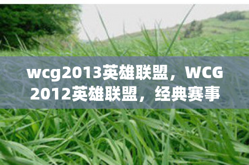 wcg2013英雄联盟，WCG2012英雄联盟，经典赛事的荣耀与传承