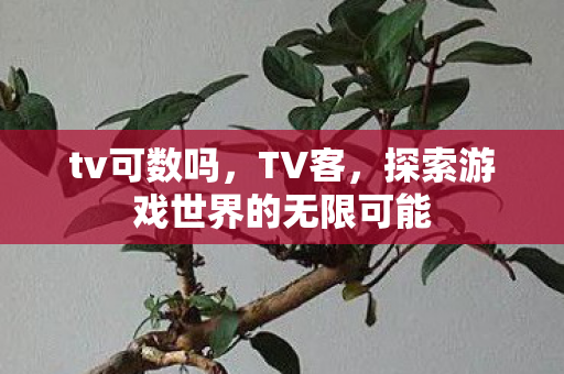 tv可数吗，TV客，探索游戏世界的无限可能