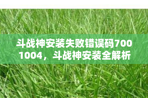 斗战神安装失败错误码7001004，斗战神安装全解析，从下载到游戏启动的详细步骤
