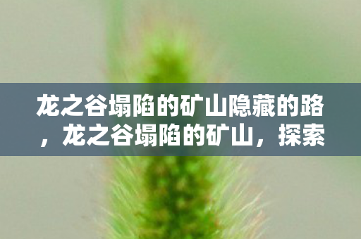龙之谷塌陷的矿山隐藏的路，龙之谷塌陷的矿山，探索未知世界的神秘之旅