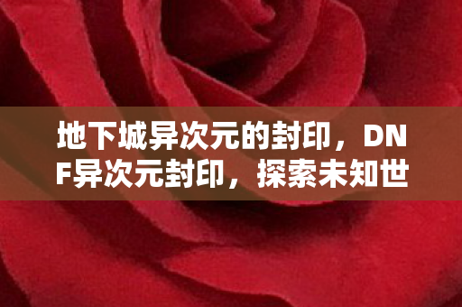 地下城异次元的封印，DNF异次元封印，探索未知世界的神秘封印