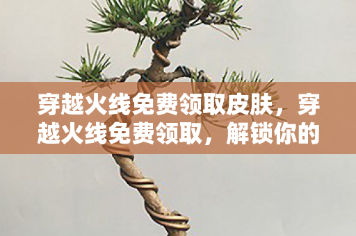 穿越火线免费领取皮肤，穿越火线免费领取，解锁你的游戏新体验