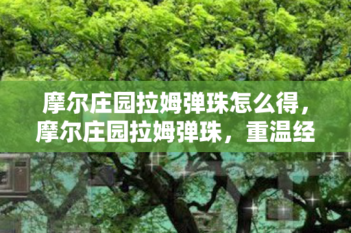 摩尔庄园拉姆弹珠怎么得，摩尔庄园拉姆弹珠，重温经典，探索无限乐趣