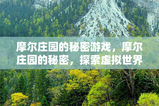 摩尔庄园的秘密游戏，摩尔庄园的秘密，探索虚拟世界的奇妙之旅