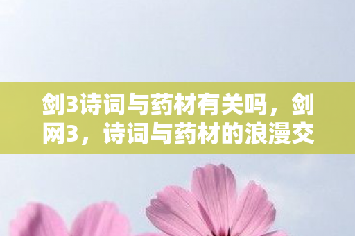 剑3诗词与药材有关吗，剑网3，诗词与药材的浪漫交织