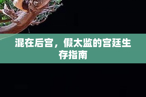 混在后宫，假太监的宫廷生存指南