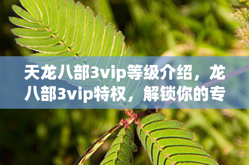 天龙八部3vip等级介绍，龙八部3vip特权，解锁你的专属荣耀