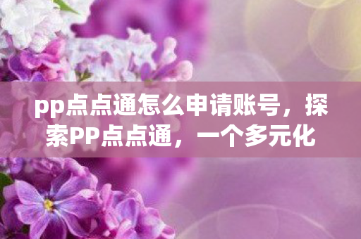 pp点点通怎么申请账号，探索PP点点通，一个多元化互动平台的魅力与潜力