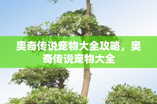 奥奇传说宠物大全攻略，奥奇传说宠物大全