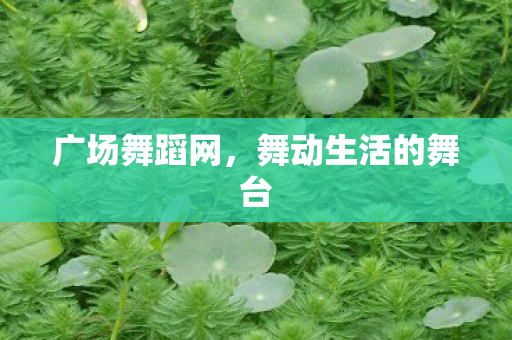 广场舞蹈网,舞动生活的舞台 广场舞蹈网,舞动生活的舞台