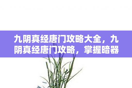 九阴真经唐门攻略大全，九阴真经唐门攻略，掌握暗器与毒术，成为江湖顶尖高手