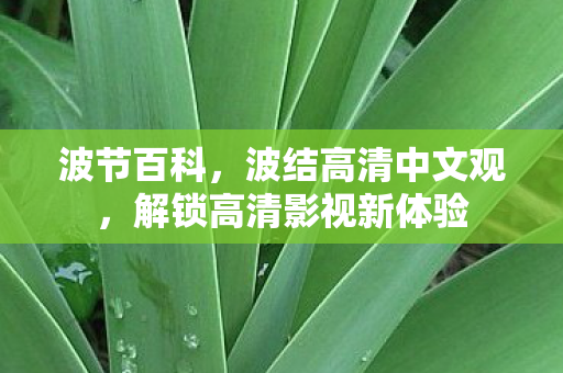 波节百科，波结高清中文观，解锁高清影视新体验