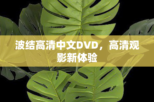 波结高清中文DVD，高清观影新体验