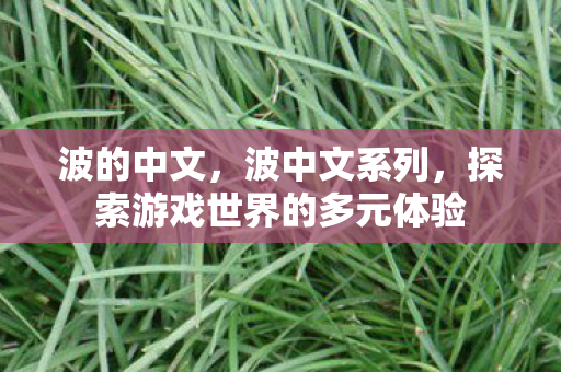 波的中文，波中文系列，探索游戏世界的多元体验